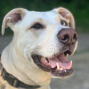 Meet your Posher, Carol